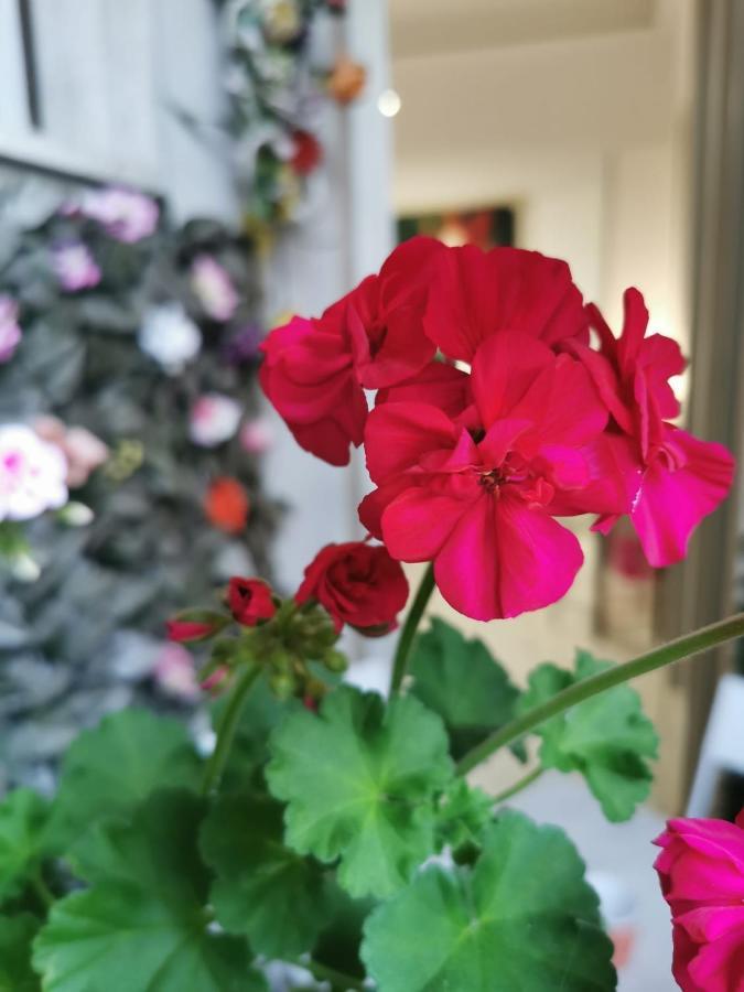 B&B Barbera Флоренция Экстерьер фото